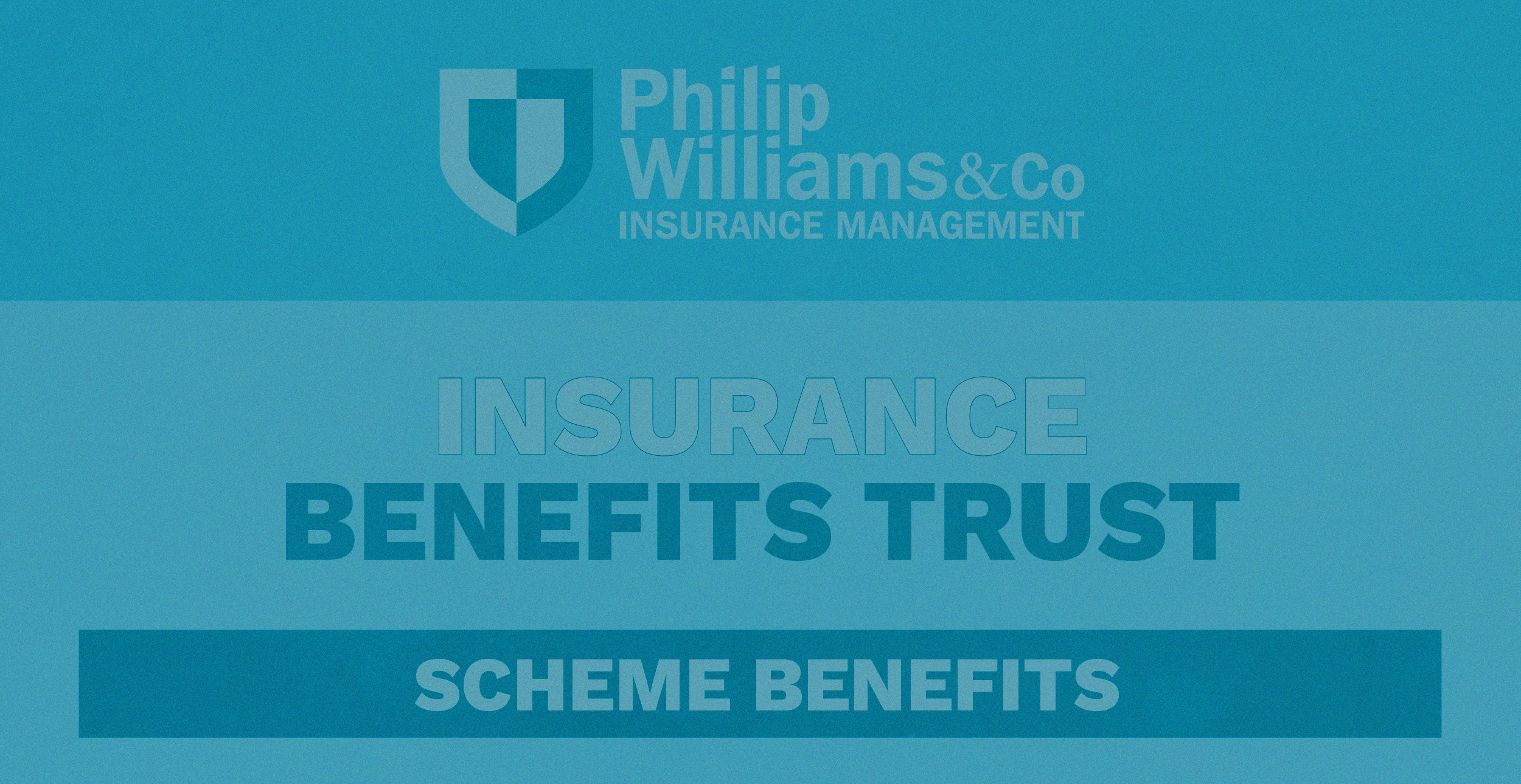 INSURANCE BENEFIT TRUST