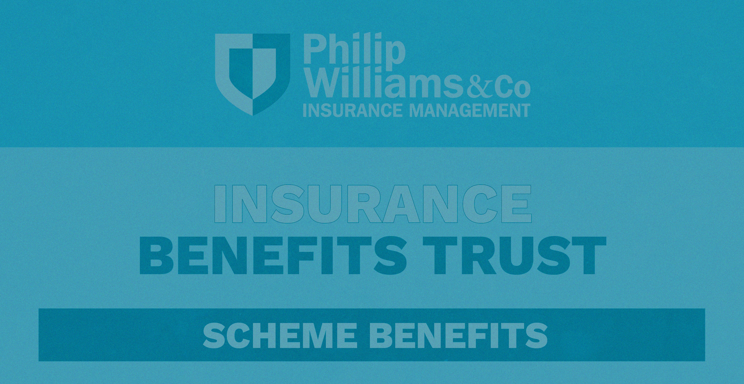 INSURANCE BENEFIT TRUST